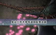 鬼谷八荒木修悟道期配置攻略