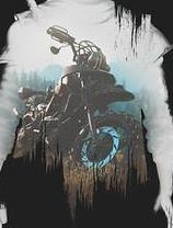 往日不再mod 武器和摩托车升级全套存档