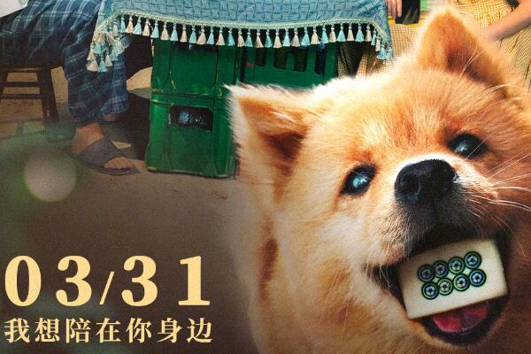 《忠犬八公》新预告 今日开始预售：3月31日全国上映