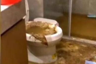 五星级豪华酒店马桶故障 粪水喷溅男子一身惨不忍睹