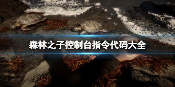 《森林之子》制台指令代码大全 控制台指令怎么用？
