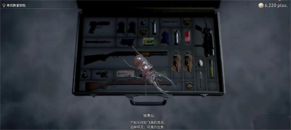 《生化危机4重制版》隐藏收集品独角仙怎么获得？隐藏收集品独角仙位置介绍