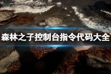 《森林之子》制台指令代码大全 控制台指令怎么用？
