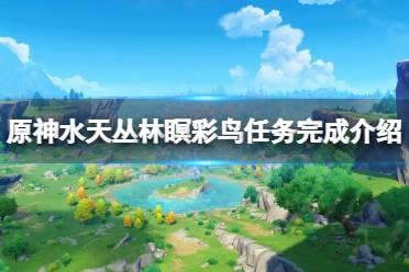 《原神》瞑彩鸟任务怎么完成？水天丛林瞑彩鸟任务完成介绍
