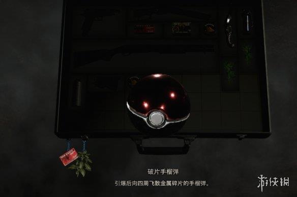 《生化危机4：重制版》宝可梦大师球替换手榴弹MOD[正式版]