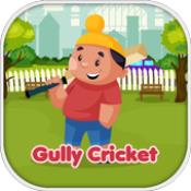 小孩子打棒球Gully Cricket1.0.0