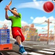 街头板球锦标赛Street Cricket Championship1.0