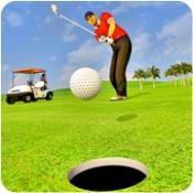 打高尔夫球锦标赛Play Golf Championship2.5