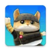 小猫突击队员0.4.3