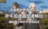 完美新世界国际服公测怎么参与，斧牛加速器国际服公测加速