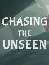 Chasing the Unseen 免安装绿色中文版