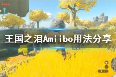 《塞尔达传说王国之泪》Amiibo用法分享 怎么用Amiibo？