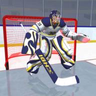 曲棍球比赛明星3DHockeyStars3D0.21