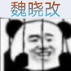 bvn魏晓改2.0