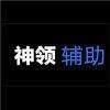 神领辅助全能版 v