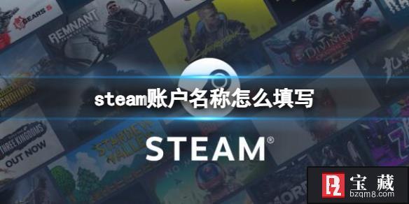 《steam》账户名称填写格式详解