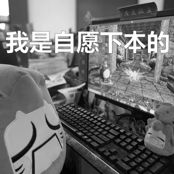 《天下3》草精一族跑路了！脱离网易苦海，为大荒少侠提供全方位上门服务~