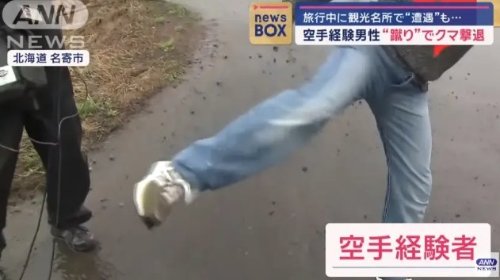 日本男子遇熊袭击用空手道将其击退：一脚把熊吓跑