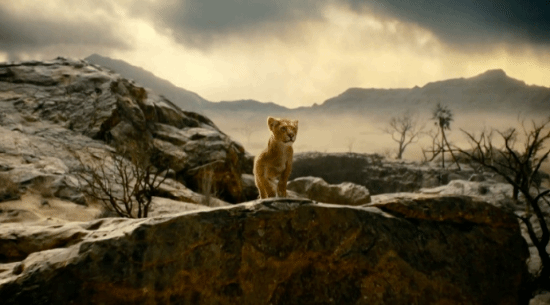 迪士尼新版《狮子王》前传新片发布新剧照 网友：一股塑料感