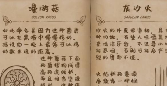 【今天玩什么】《奇异园艺》：园艺、解谜与神秘学