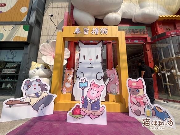 《猫咪和汤》×宫猫体验馆奉旨撸猫主题店上线