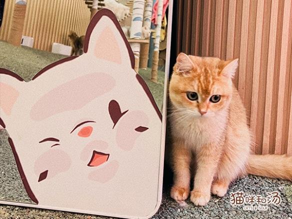 《猫咪和汤》×宫猫体验馆奉旨撸猫主题店上线