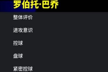 忧郁王子风华绝代，BS巴乔初登绿茵