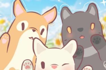 猫咪和汤×北京领养日×小米食堂 送你一只猫