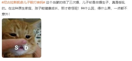 尼古拉斯凯奇儿子殴打亲妈上热搜 网友热议