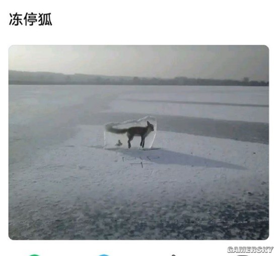就喜欢这丰满有力的大腿根 想要被肌肉女霸凌的囧图