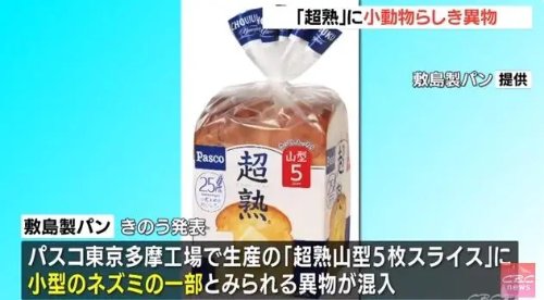 日本一面包品牌召回10.4万份面包 疑混入老鼠残骸
