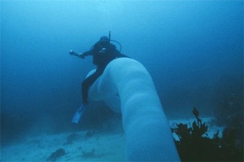 摄影师深海拍到神秘生物：远看像8米长口袋 近看密密麻麻一堆虫