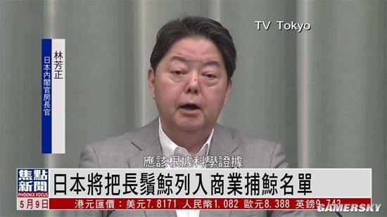 日本拟将长须鲸纳入商业捕鲸:多国反对 国内也不支持