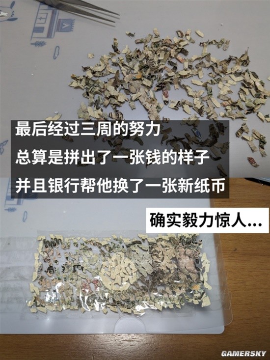 万元纸币误入碎纸机 网友花三周复原 在银行兑换成功