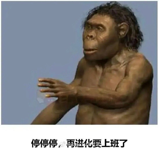 不良是发育的不良 人体美是哪里美的囧图