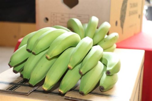 香蕉不能缓解便秘：男子连吃3根生香蕉致肠梗阻