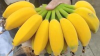 杭州一家小水果店走红 开了20多年只卖香蕉