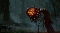 《艾尔登法环》DLC“黄金树幽影”新宣传图公开！幽影下觅食的悲惨之人