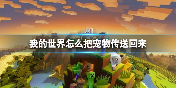 《我的世界》传送宠物方法介绍