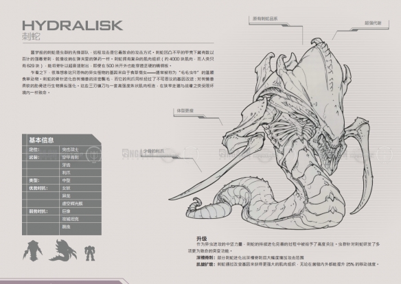 《星际争霸2》虫族兵种一览