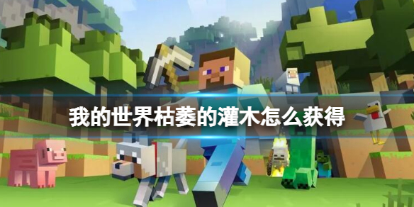 《我的世界》枯萎的灌木获得方法介绍