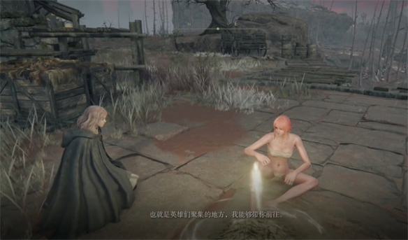《艾尔登法环》特殊地点数量介绍