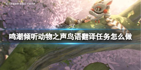 《鸣潮》鸟语翻译任务怎么玩