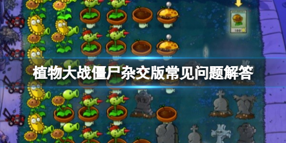 《植物大战僵尸杂交版》新手常见问题解答