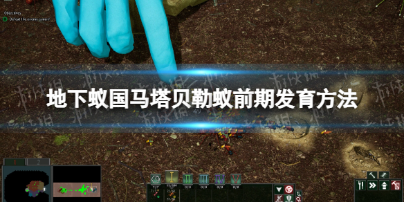 《地下蚁国》马塔贝勒蚁前期发育方法