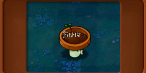 植物大战僵尸杂交版小盆菇属性介绍