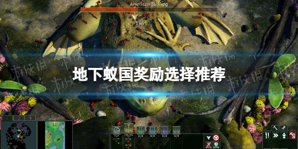《地下蚁国》奖励选择推荐