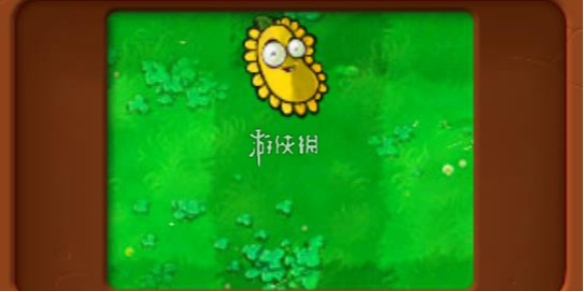 植物大战僵尸杂交版阳光豆属性介绍