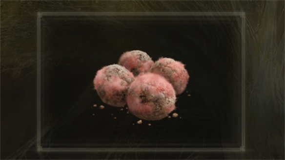 《艾尔登法环》腐败苔药制作方法