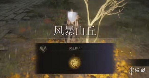 《艾尔登法环》网络需求说明